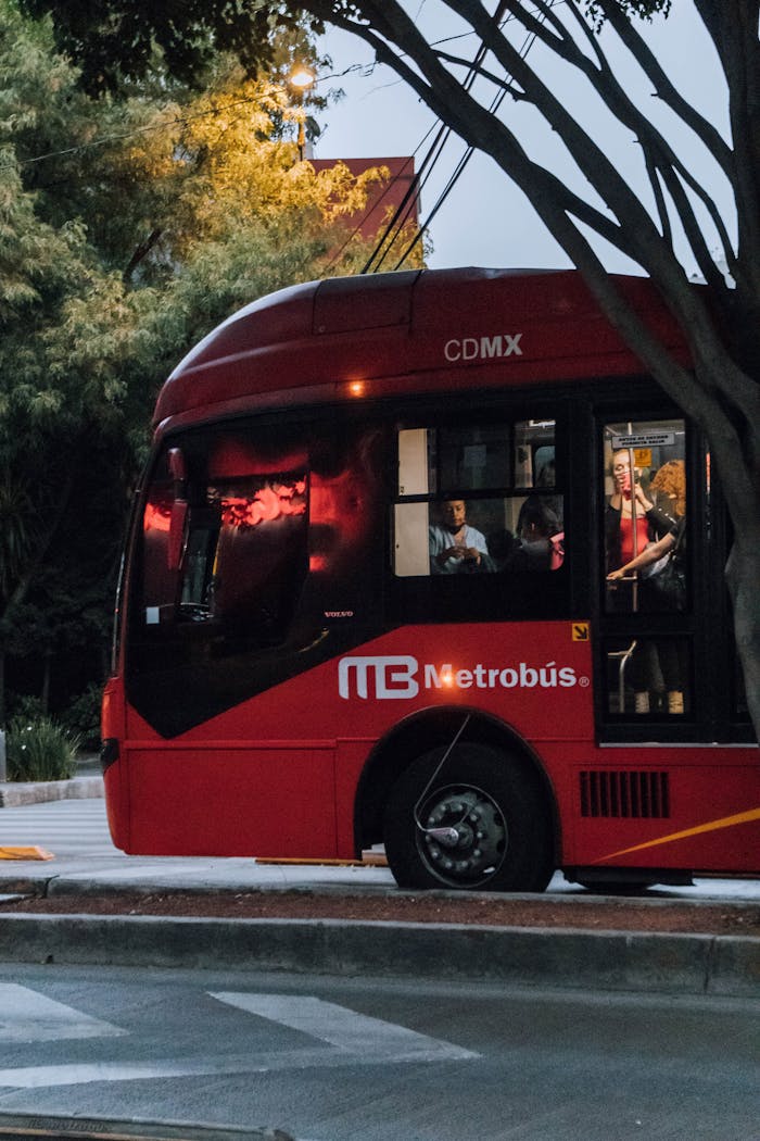 gallery-4 A red Metrobus transports passengers through a tree-lined urban area at dusk in the city.