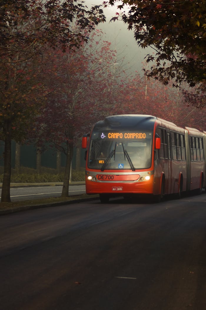 Red public bus on a foggy autumn street lined with trees, captured in an urban setting.